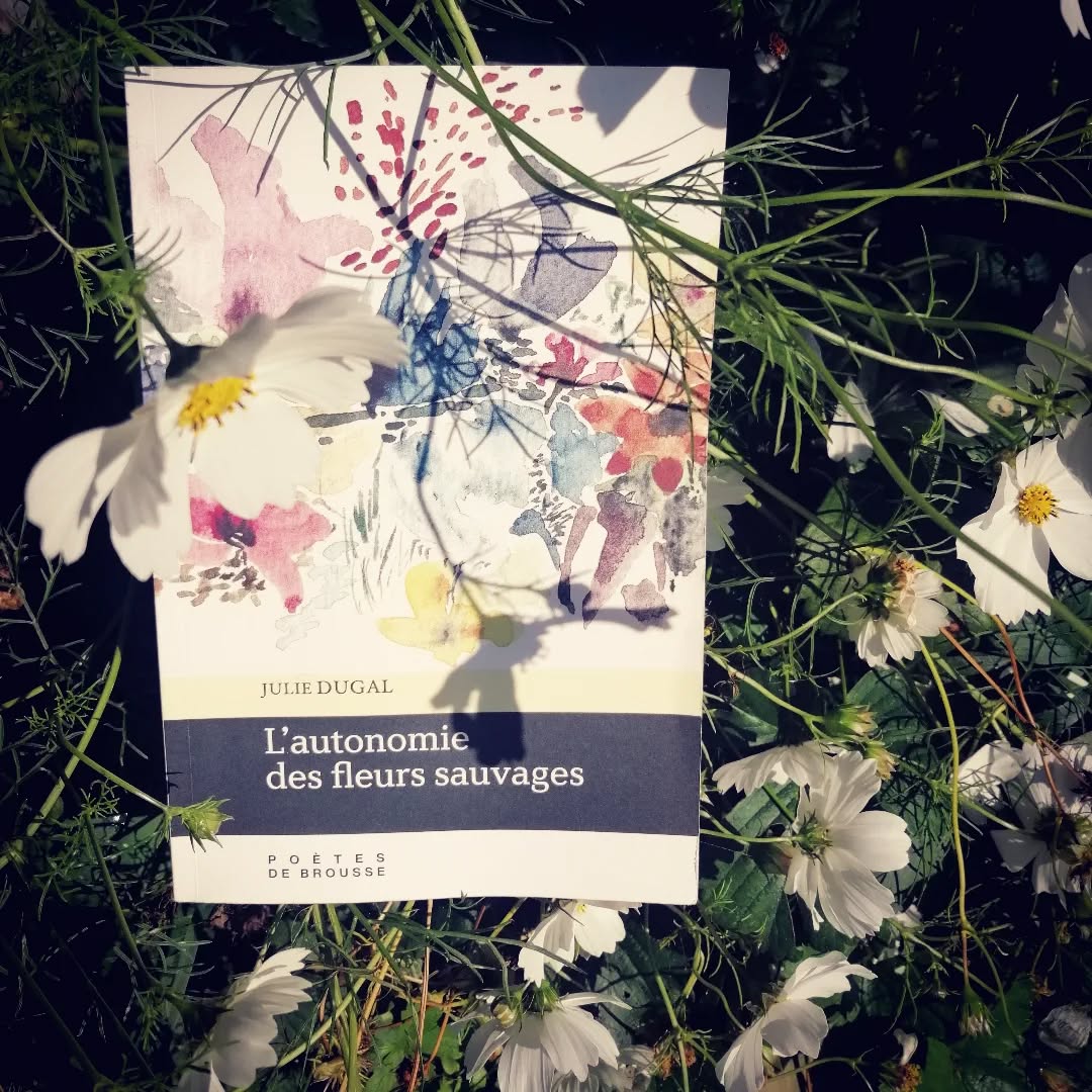 L&rsquo;autonomie des fleurs sauvages, Julie Dugal (Poètes de brousse) – Fanny