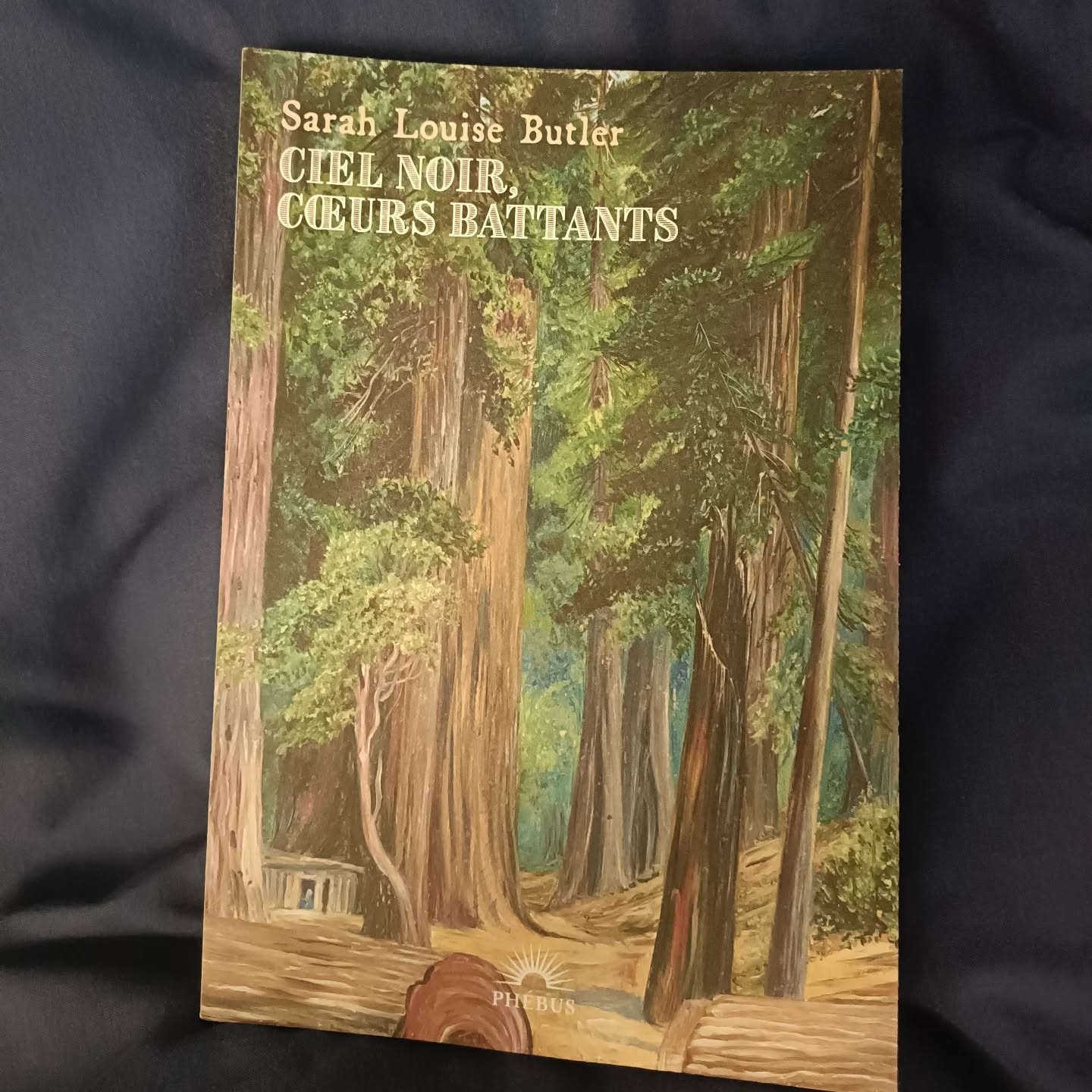 Ciel noir, cœurs battants, Sarah Louise Butler (Phébus) — Aurélie